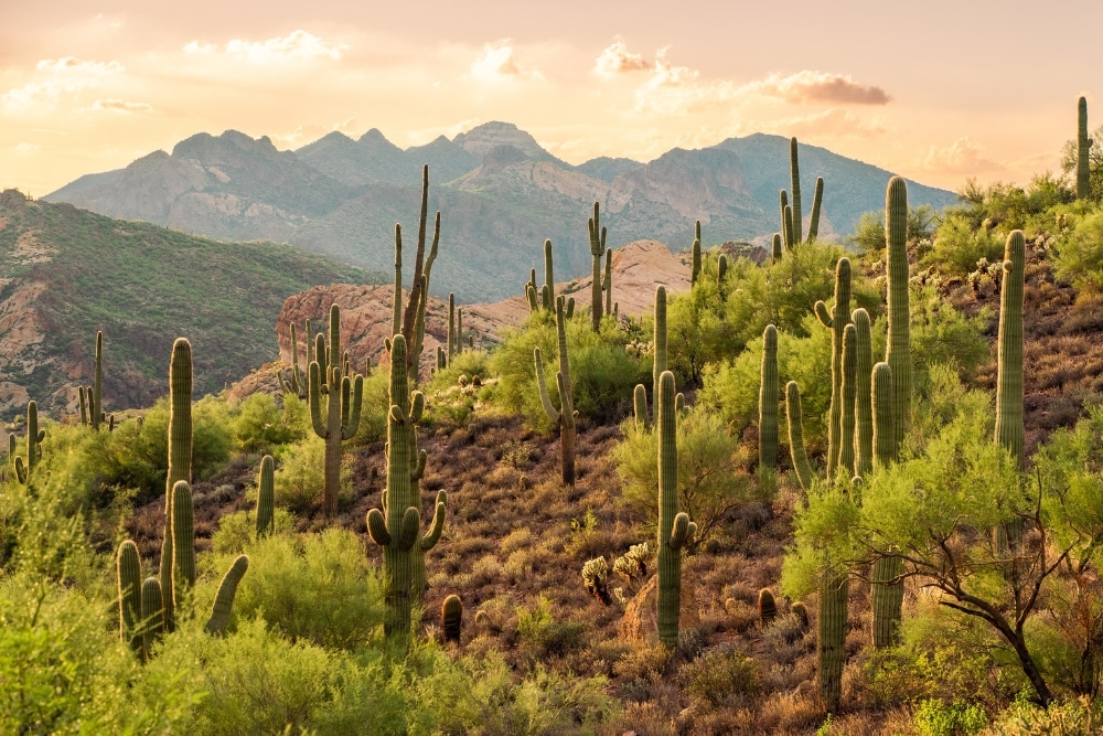 Las Vegas Campervan Trip: Experience the Best of the Southwest