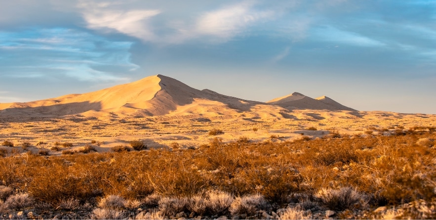 Late afternoon light throughs shadows across tall sand dunes in a scenic natural desert landscape in Mojave National Preserve