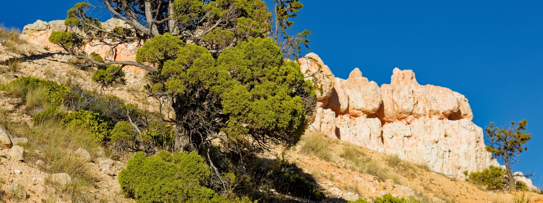 Bryce Canyon National Park in Utah