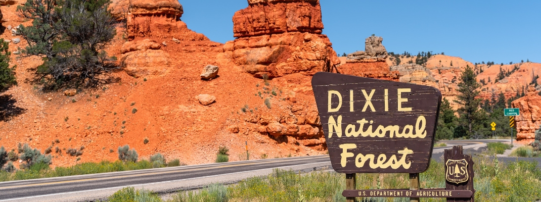 Dixie National Forest sign on UT-12 highway. 