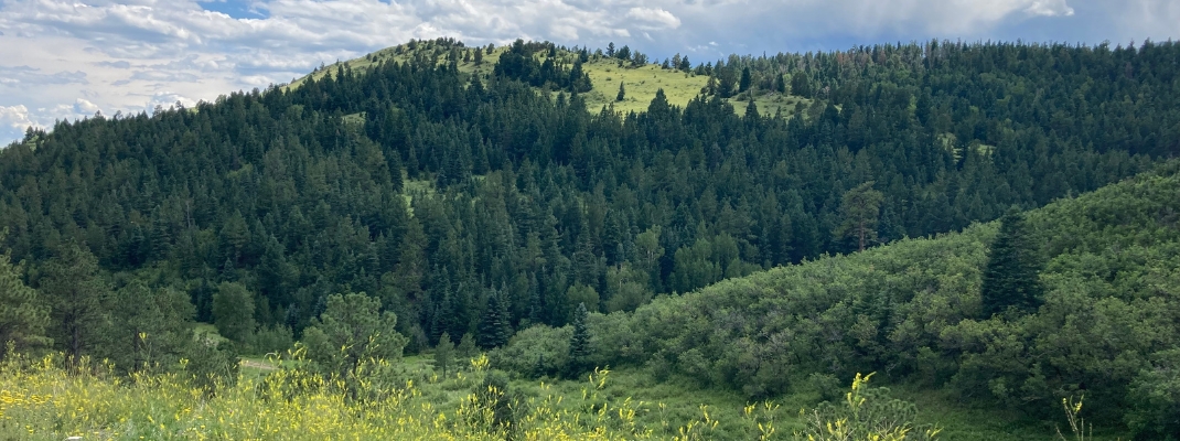 San Isabel National Forest scenery 
