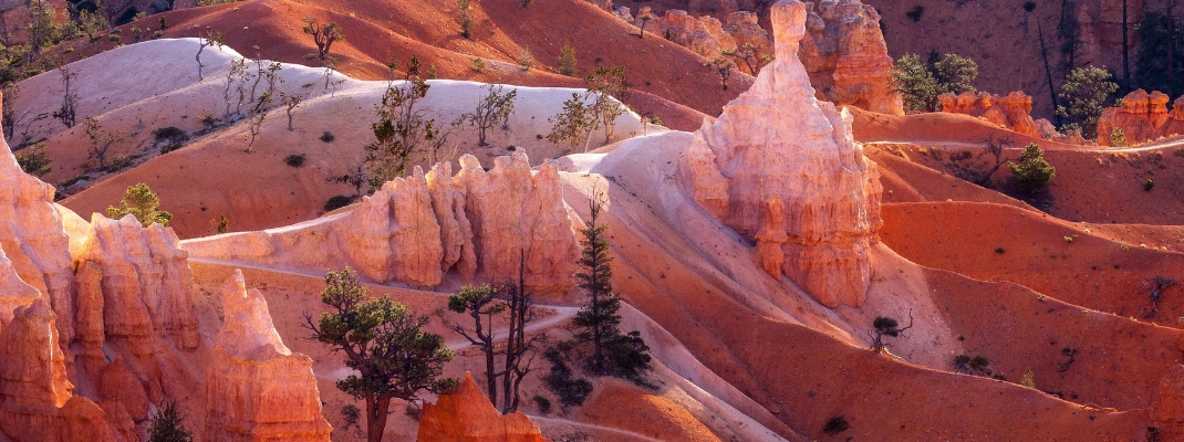 Scenic View of Bryce Canyon, USA 