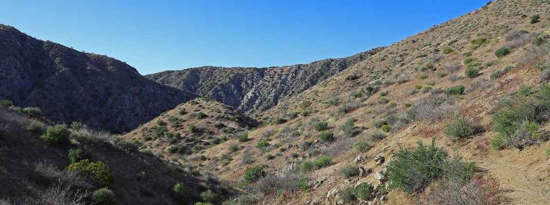 The Big Morongo Canyon Preserve in California, USA
