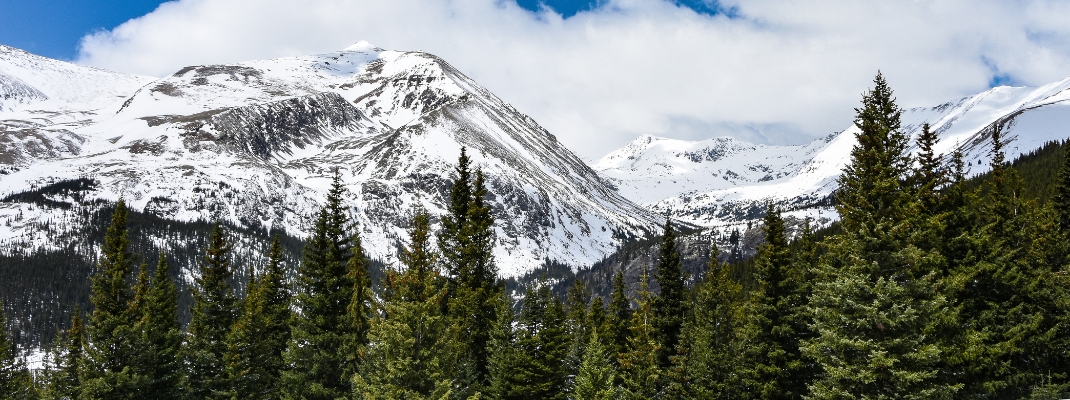 View from 12,000 ft of Mt. Massive in Colorado 