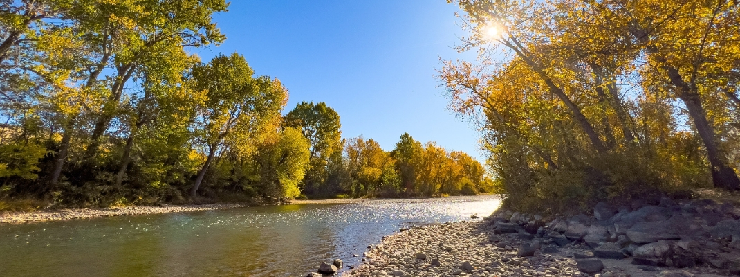 Fall colors on the Boise River greenbelt in Boise, Idaho