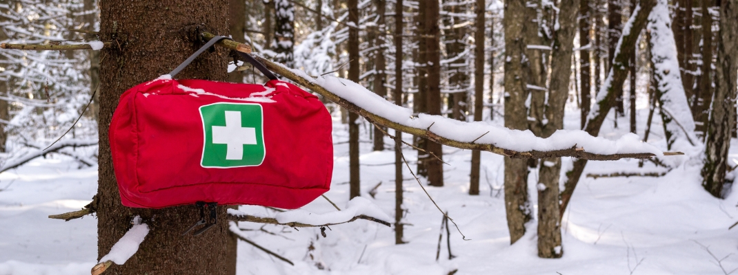 Red First Aid Travel Kit Pack Medicine Bag with white and green cross hanging on a tree branch in a snow winter forest 