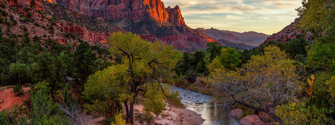 View of the Watchman mountain and the virgin river in Zion National Park