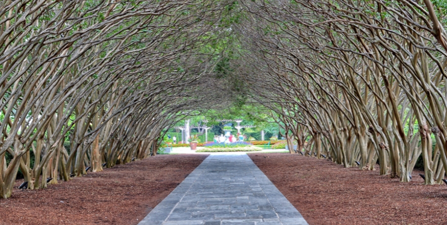 Walkway in The Dallas Arboretum and Botanical Garden
