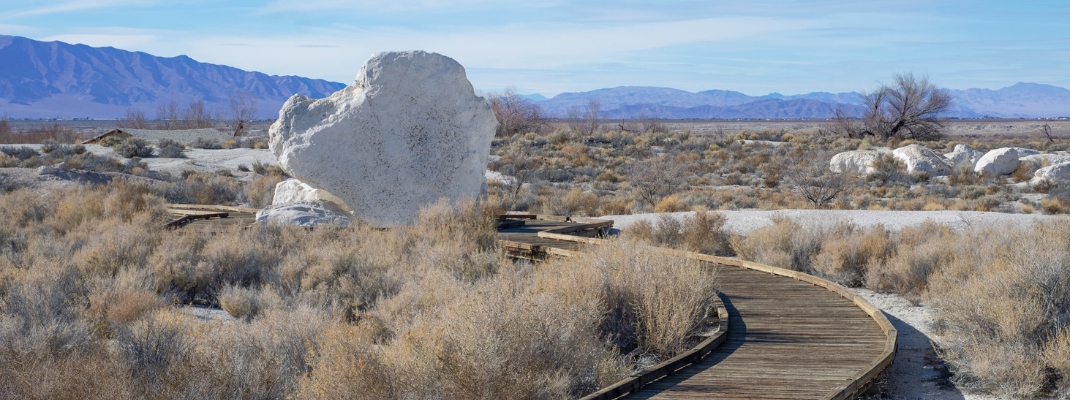 Boardwalk Trail to Longstreet Cabin and Spring in Ash Meadows National Wildlife Refuge, Nye County, Nevada, USA 