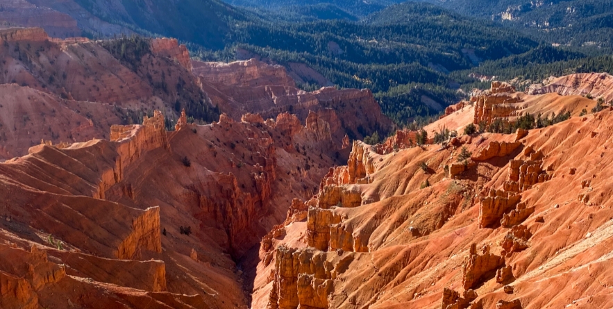 Cedar Breaks National Monument in Utah. A natural amphitheater filled with hoodoos, windows, canyons, spires, walls, and steep cliffs.