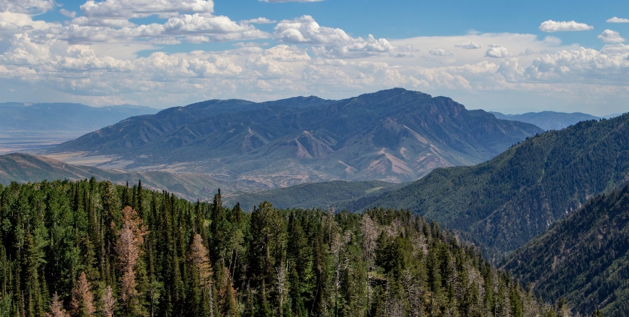 View from Mount Nebo Scenic Byway in Utah
