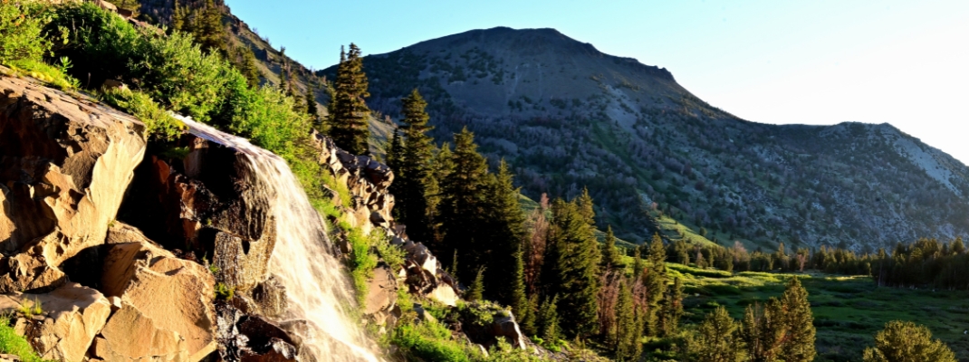 Early morning light strikes Galena Creek Falls along the Tahoe Rim Trail in the Humboldt-Toiyabe National Forest in Nevada. 