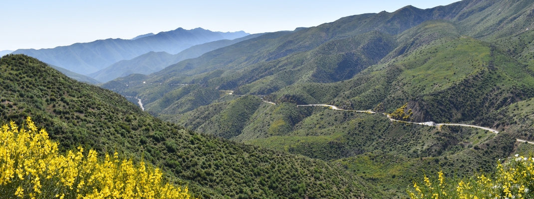 Highway 33 Los Padres National Forest 