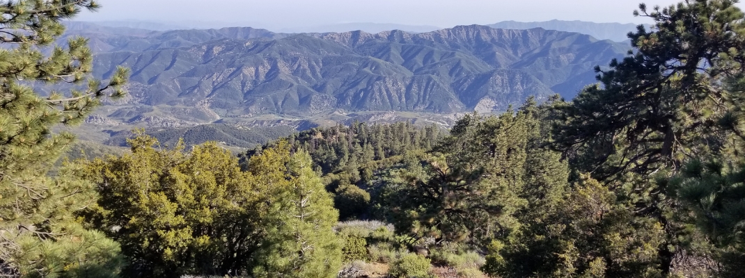 Reyes Peak Los Padres National Forest 