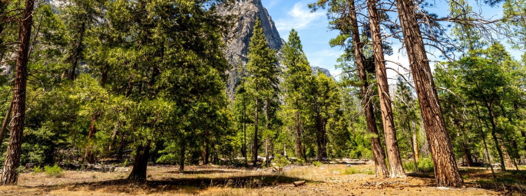 Yosemite National Park, California, USA