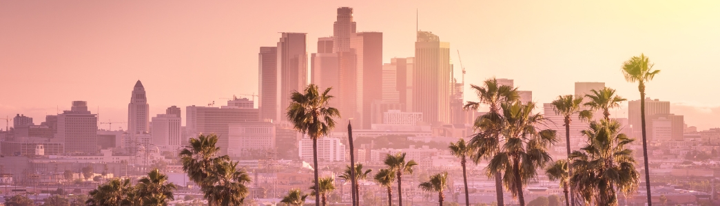 Beautiful sunset of Los Angeles downtown skyline and palm trees in foreground
