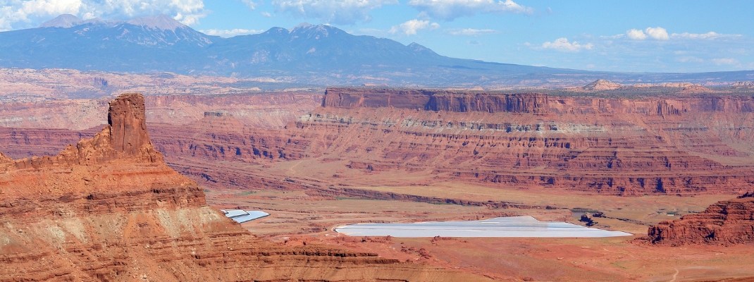 Dead Horse Ranch State Park of Arizona, United States, on the Verde River