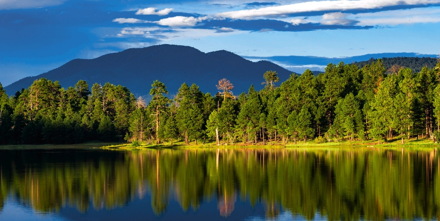Kaibab Lake in Williams, Arizona with water reflecting with green pine trees and blue sky and clouds in the evening.