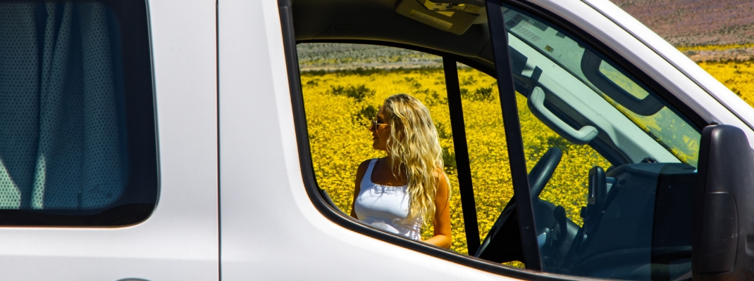 Superbloom in Death Valley National Park (1)