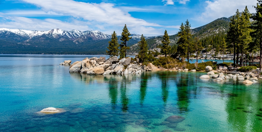 Lake Tahoe clear water and pine trees
