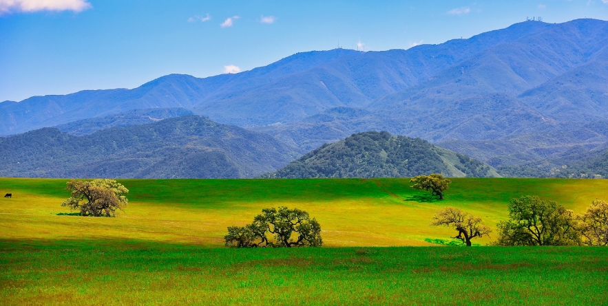 Spring in Santa Ynez California