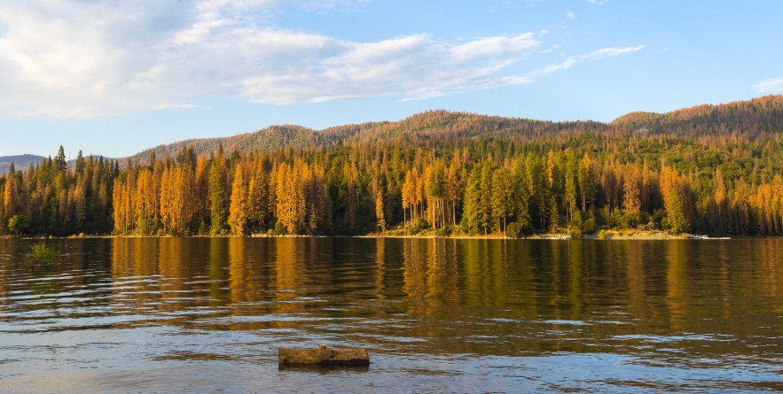 BASS LAKE - CALIFORNIA, USA