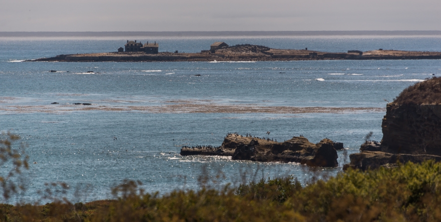 Ghost Island with abandoned structures at Año Nuevo State Park, California