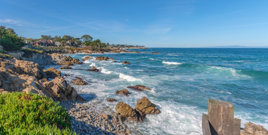Monterey California Shoreline landscape ocean rocks and marine life panorama.