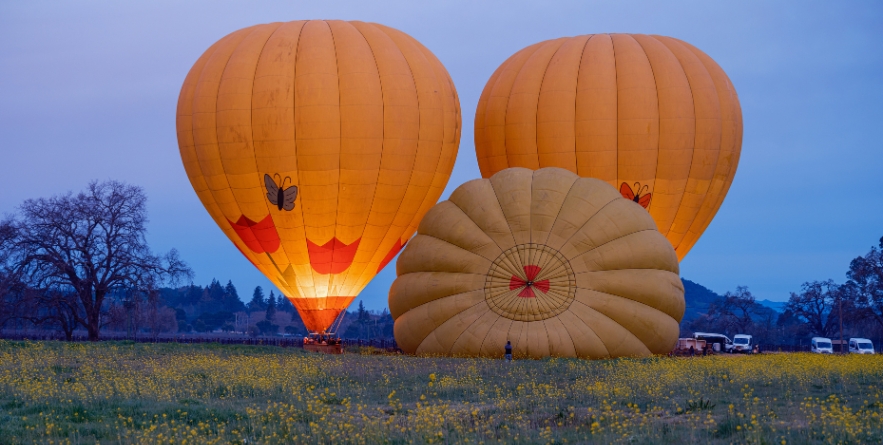 Illuminate and Rise early morning hot air balloon journey across Napa Valley, California