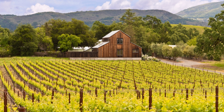 Napa Valley Vineyards, Spring, Mountains, Sky, Clouds, Barn