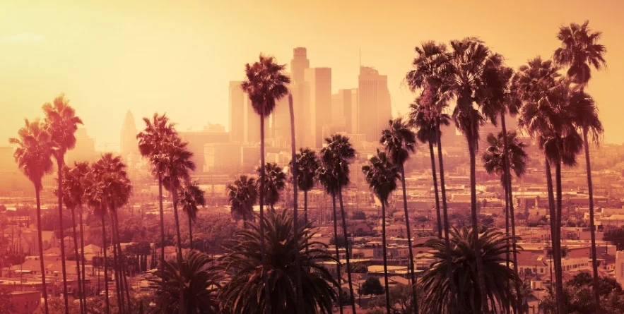 Beautiful sunset of Los Angeles downtown skyline and palm trees in foreground