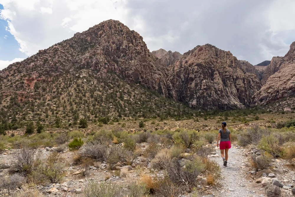 Ice Box Canyon